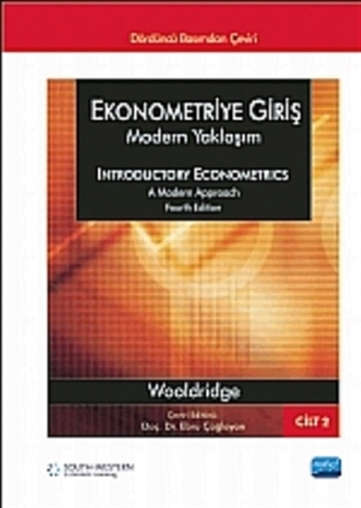 Ekonometriye Giriş Modern Yaklaşım Cilt: 2  / Introductory Econometrics