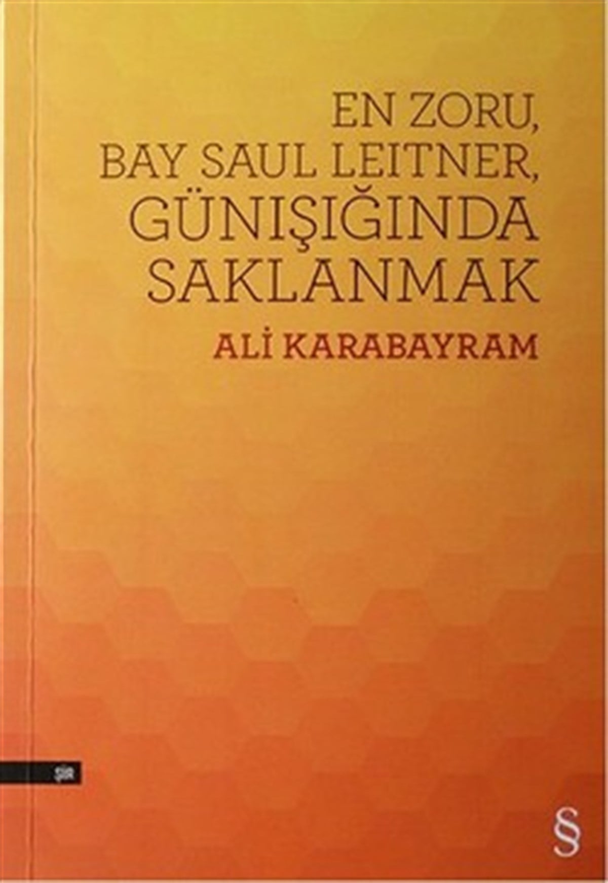 En Zoru, Bay Saul Leitner, Günışığında Saklanmak