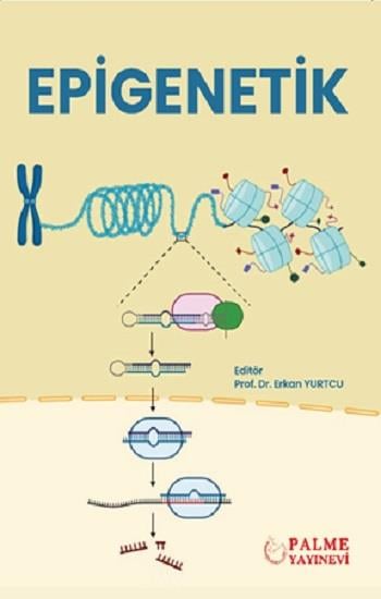 Epigenetik