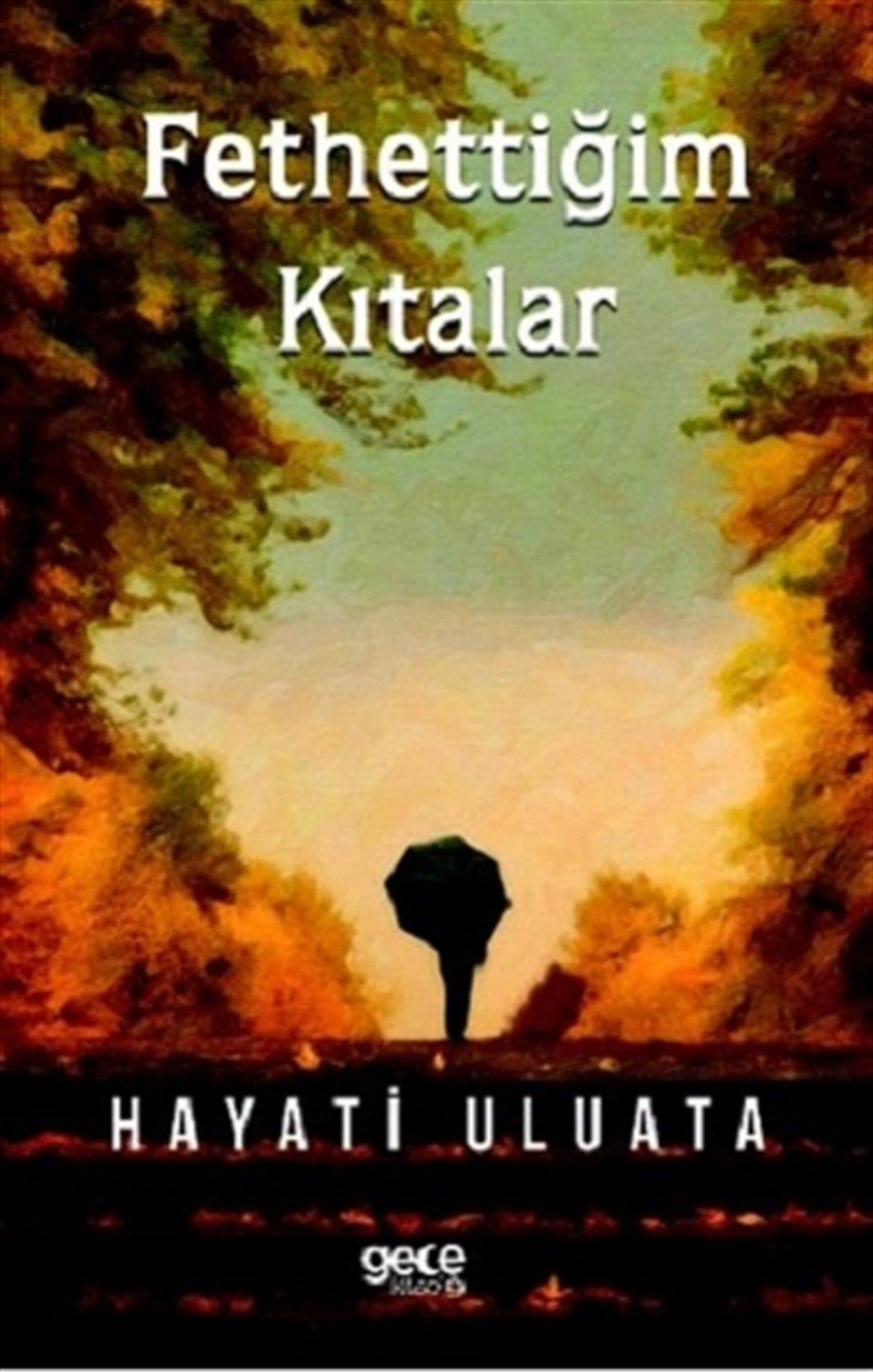 Fethettiğim Kıtalar