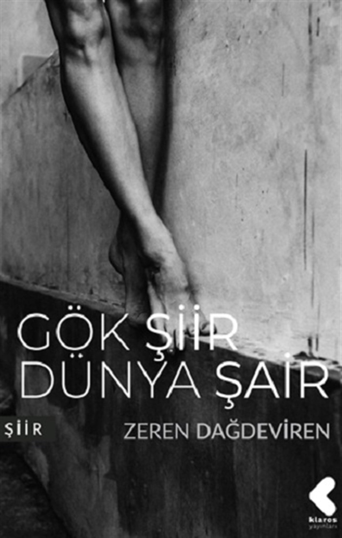 Gök Şiir Dünya Şair