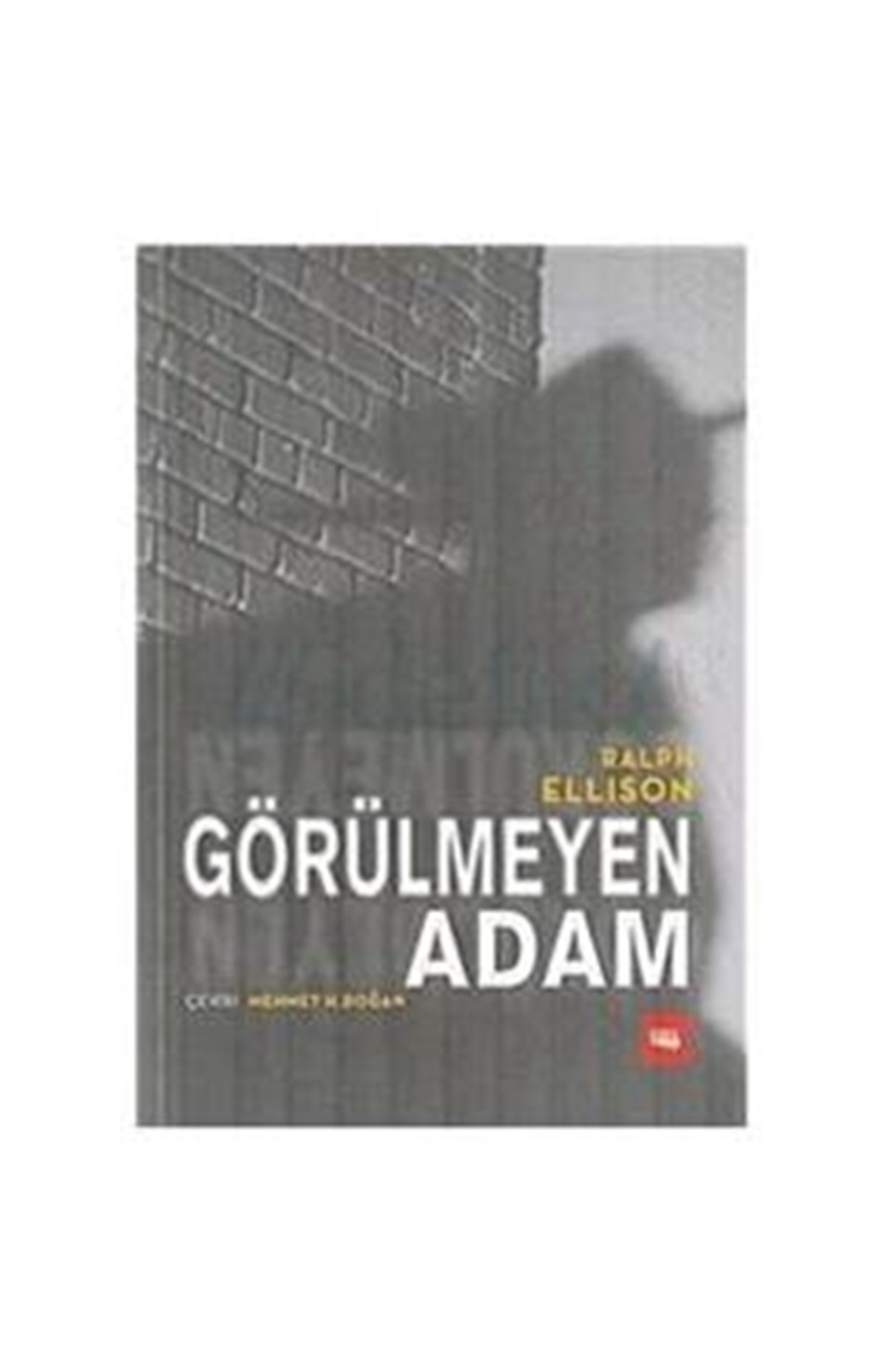 Görülmeyen Adam - LİTERATÜR