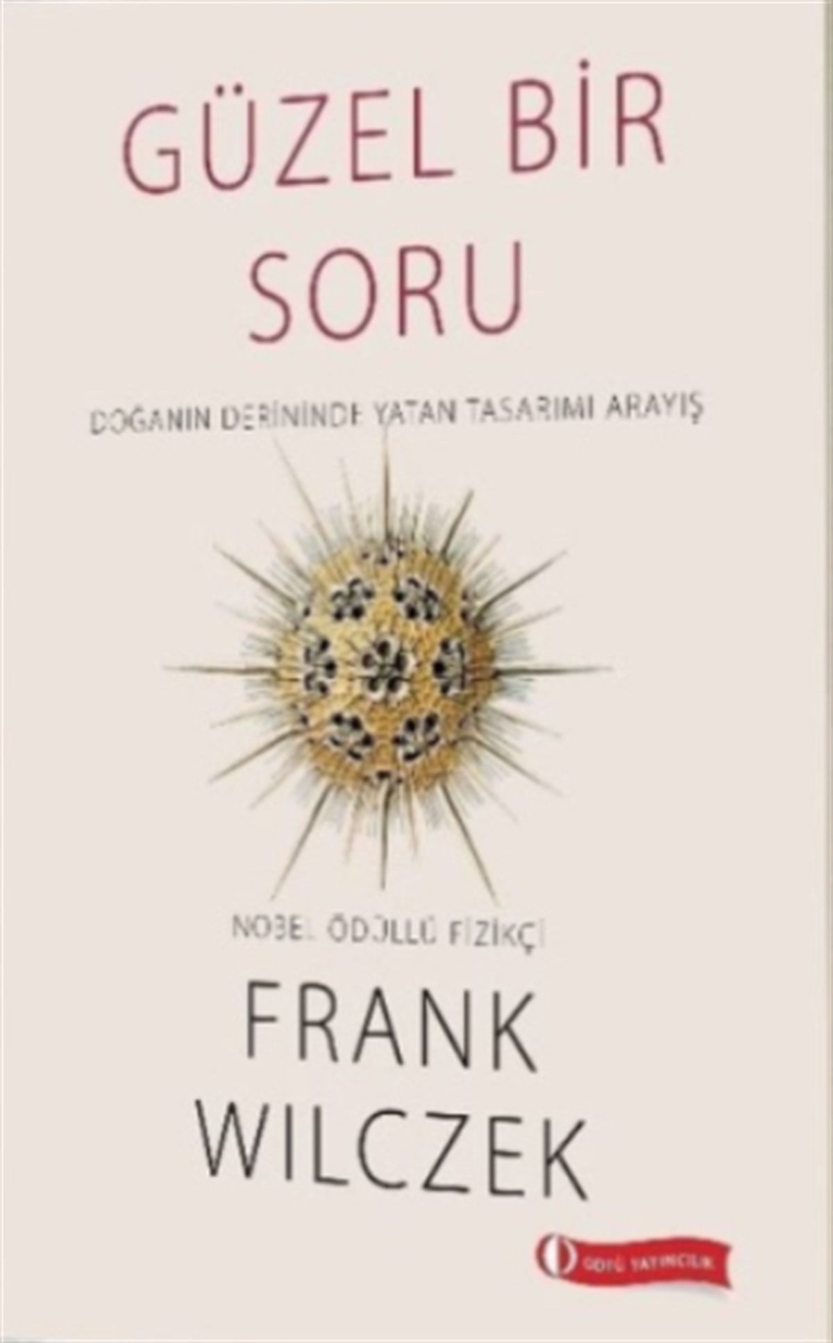 Güzel Bir Soru