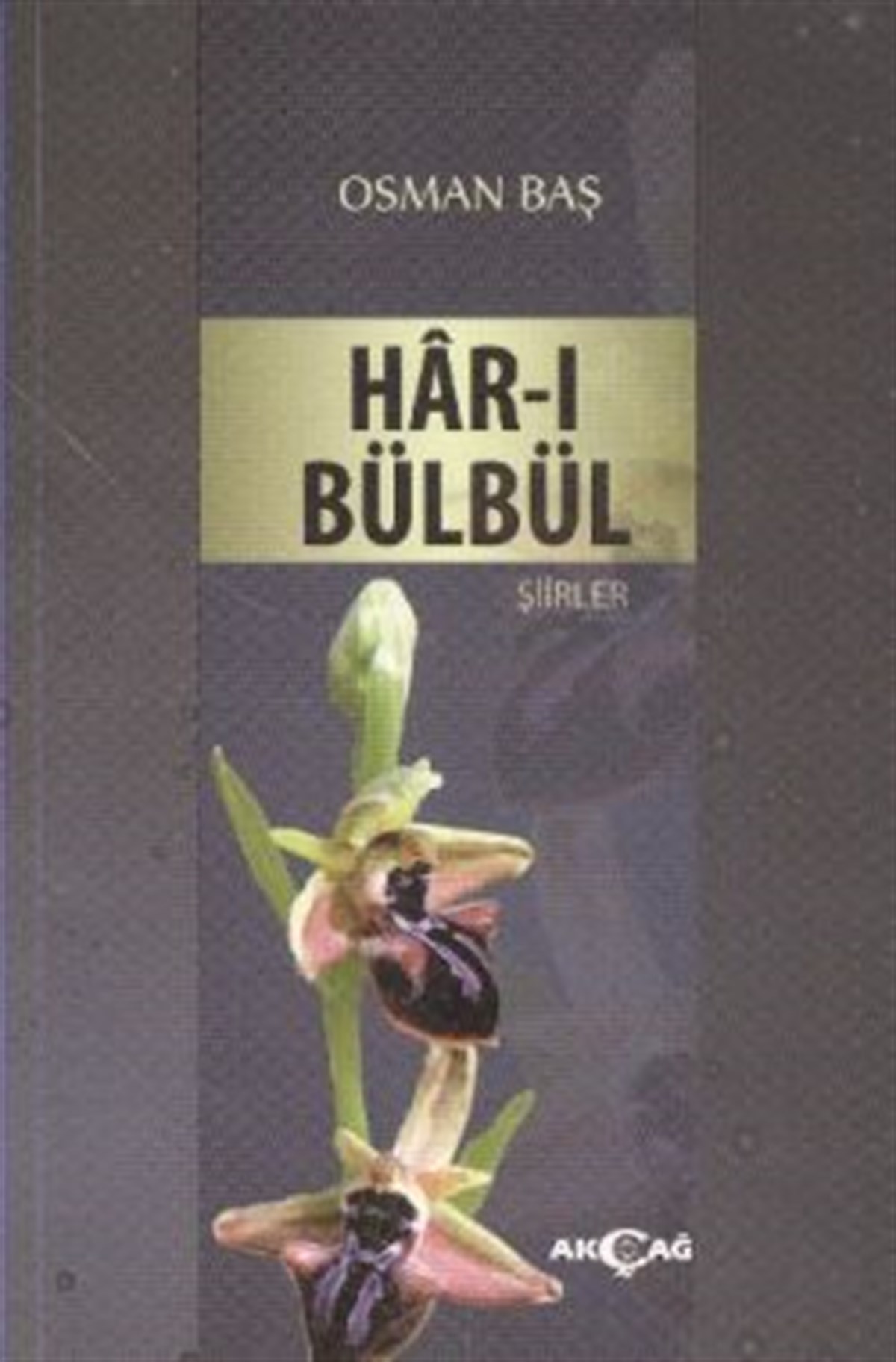 Har-ı Bülbül