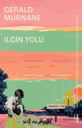 Ilgın Yolu