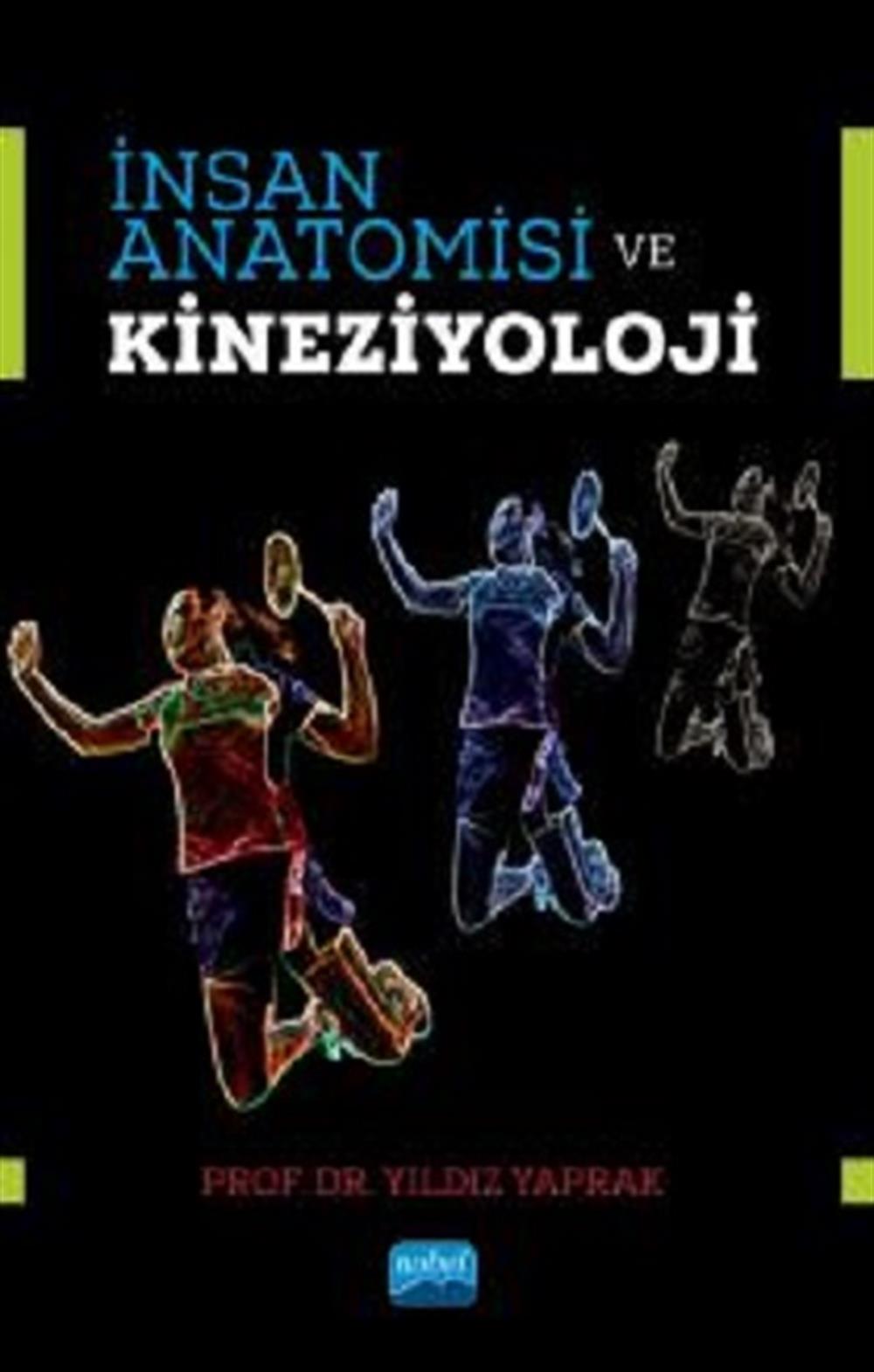 İnsan Anatomisi ve Kineziyoloji