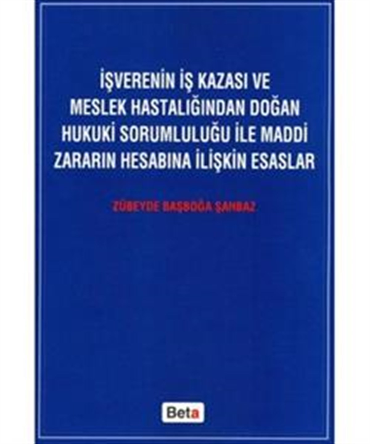 İşverenin İş Kazası ve Meslek Hastalığından Doğan Hukuki Sorumluluğu ile Maddi Zararın Hesabına İlişkin Esaslar