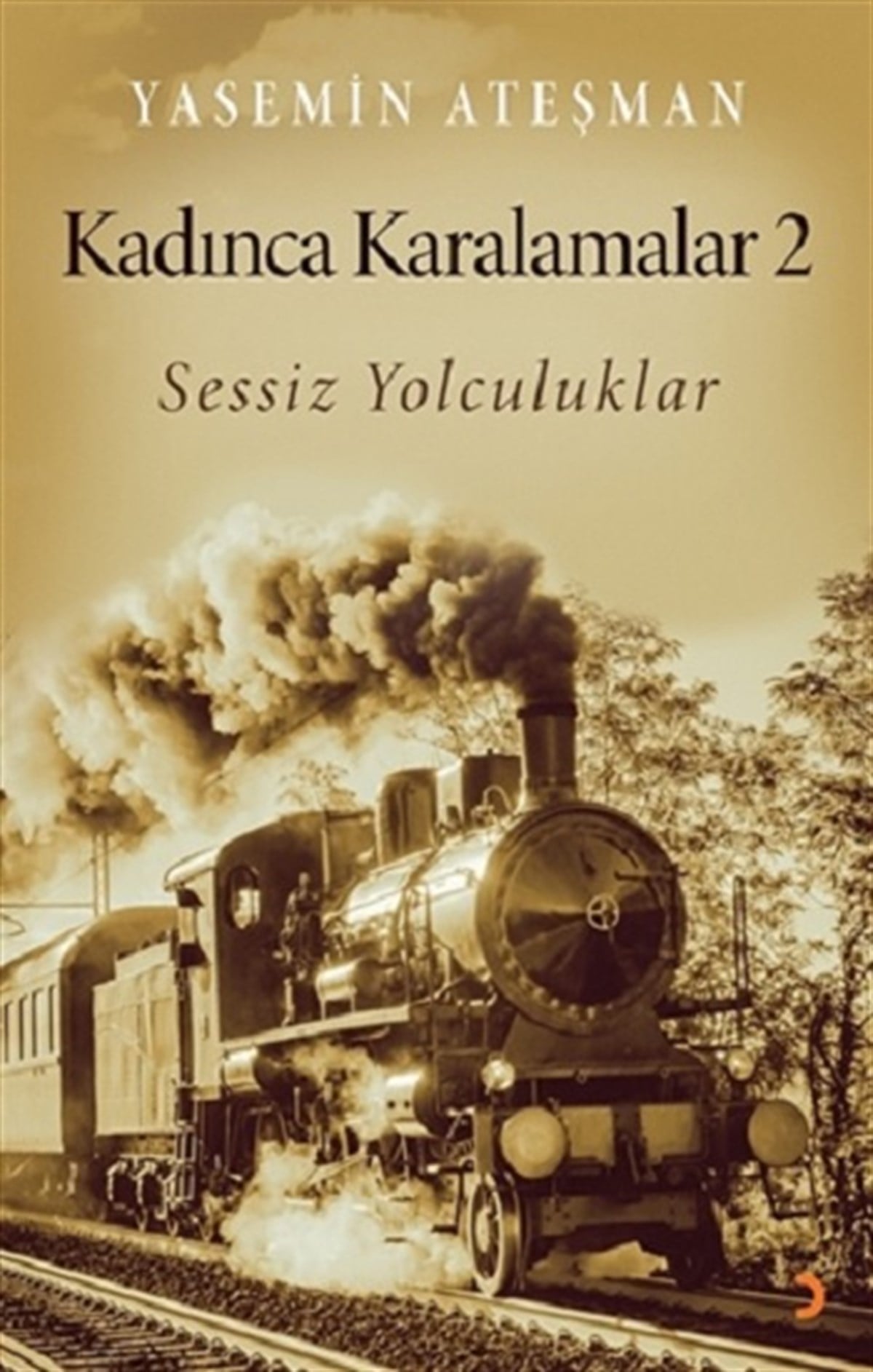 Kadınca Karalamalar 2