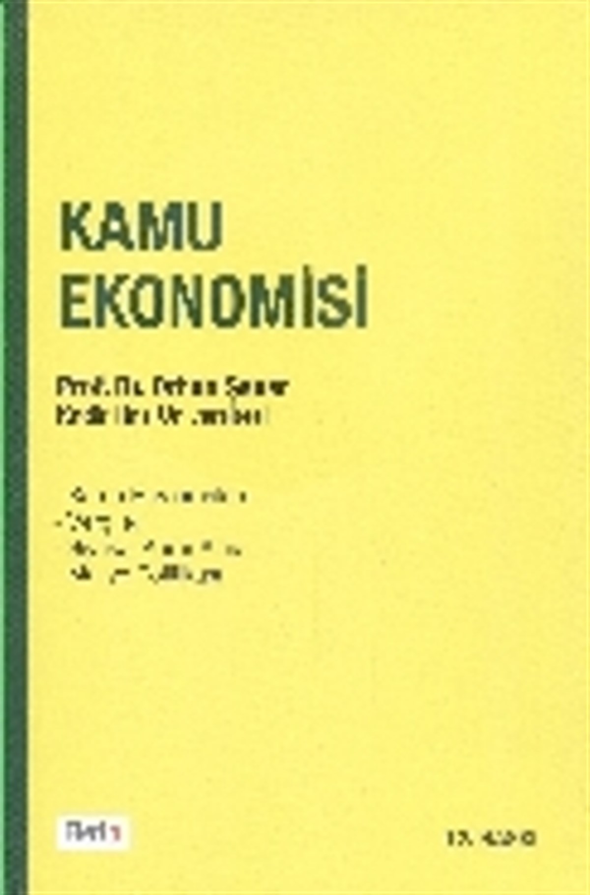 Kamu Ekonomisi
