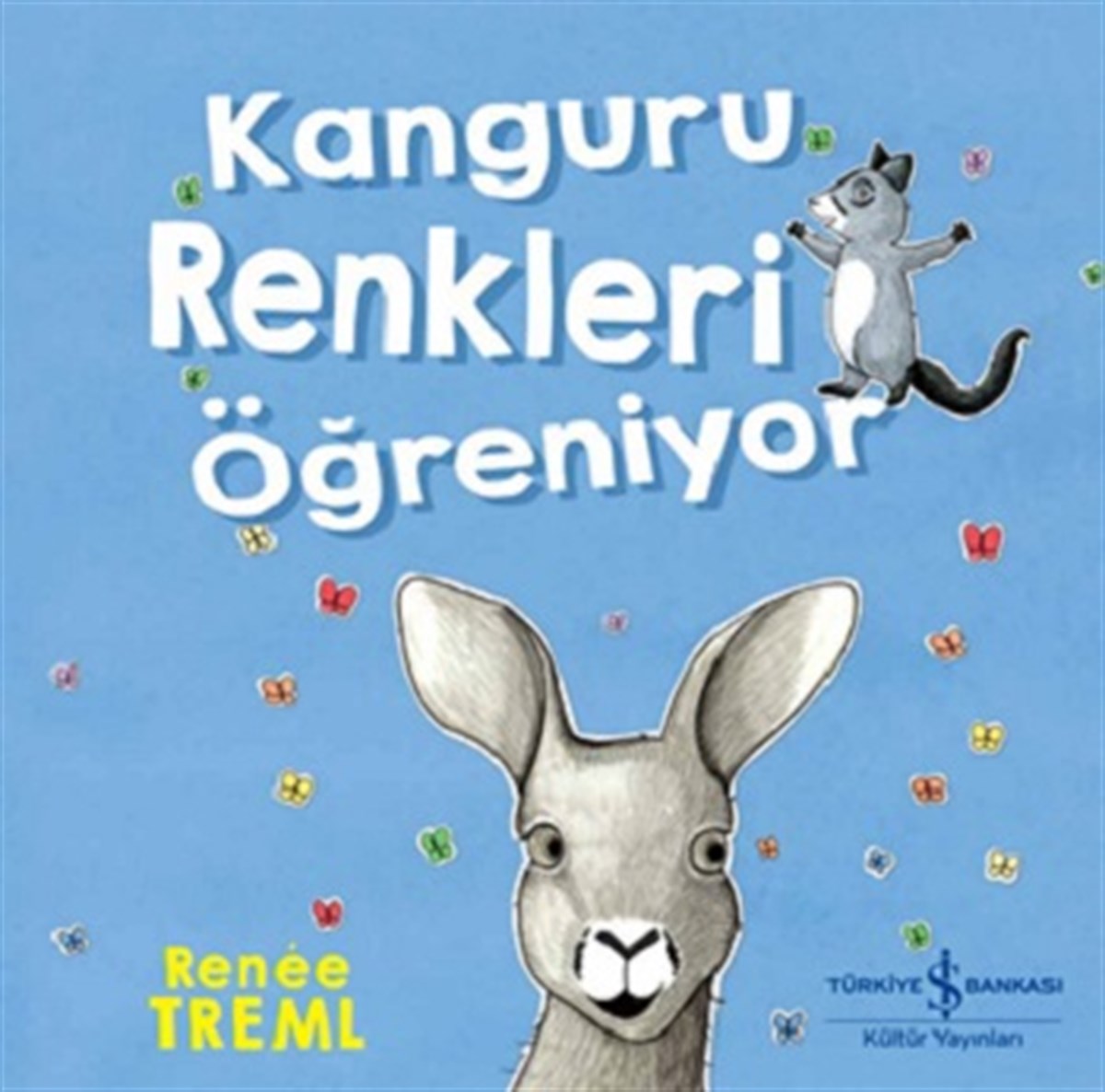 Kanguru Renkleri Öğreniyor