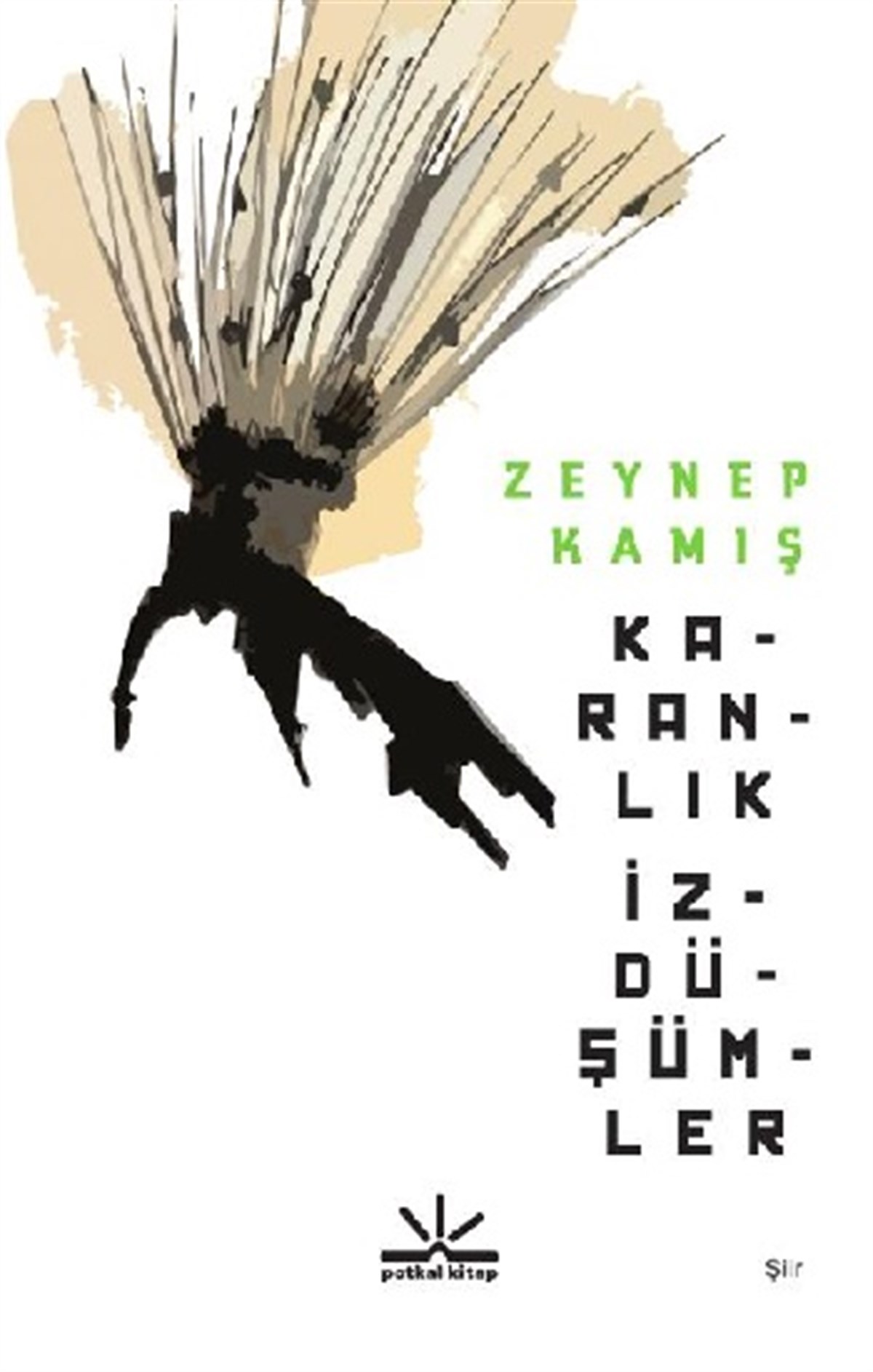 Karanlık İzdüşümler