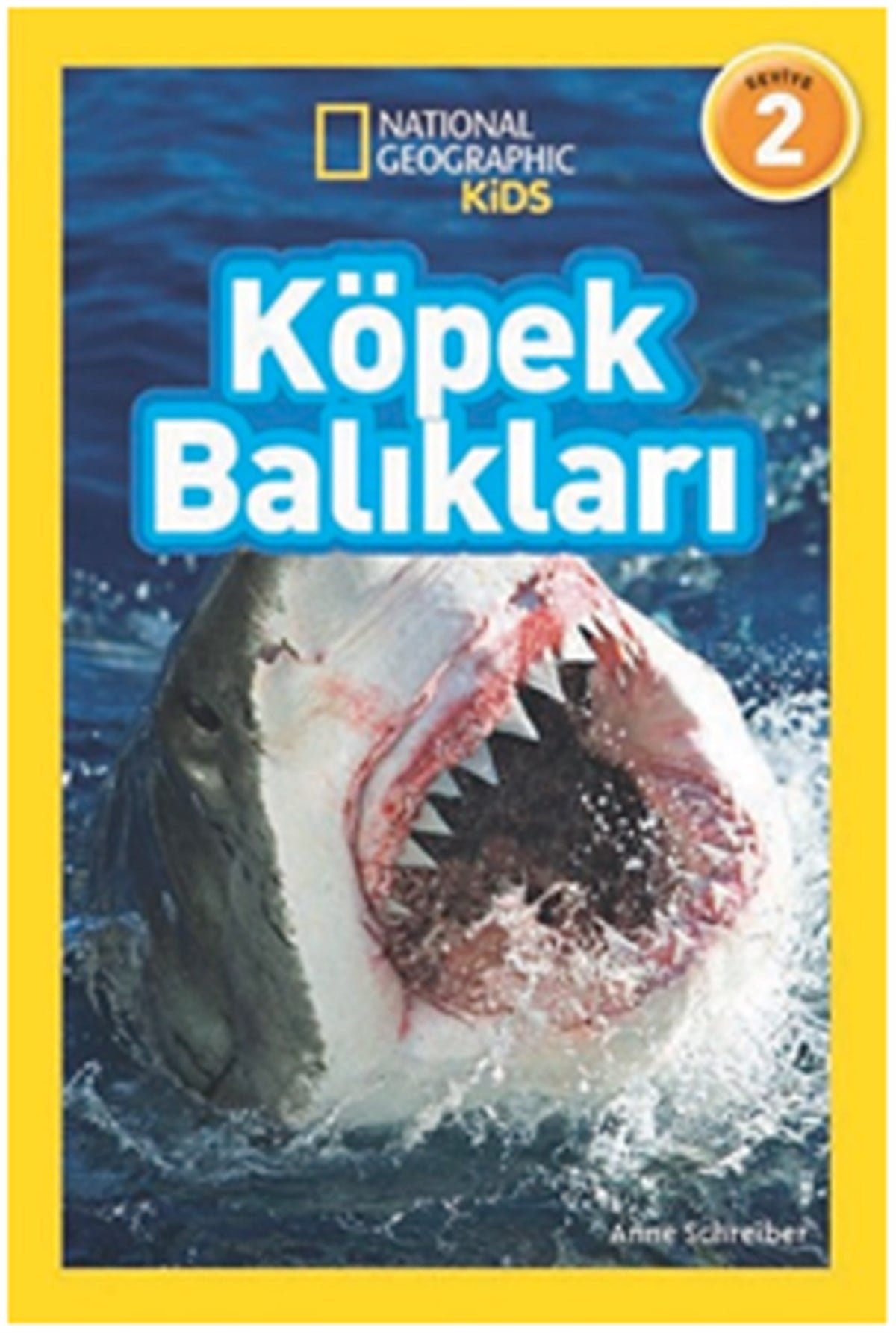 Köpek Balıkları