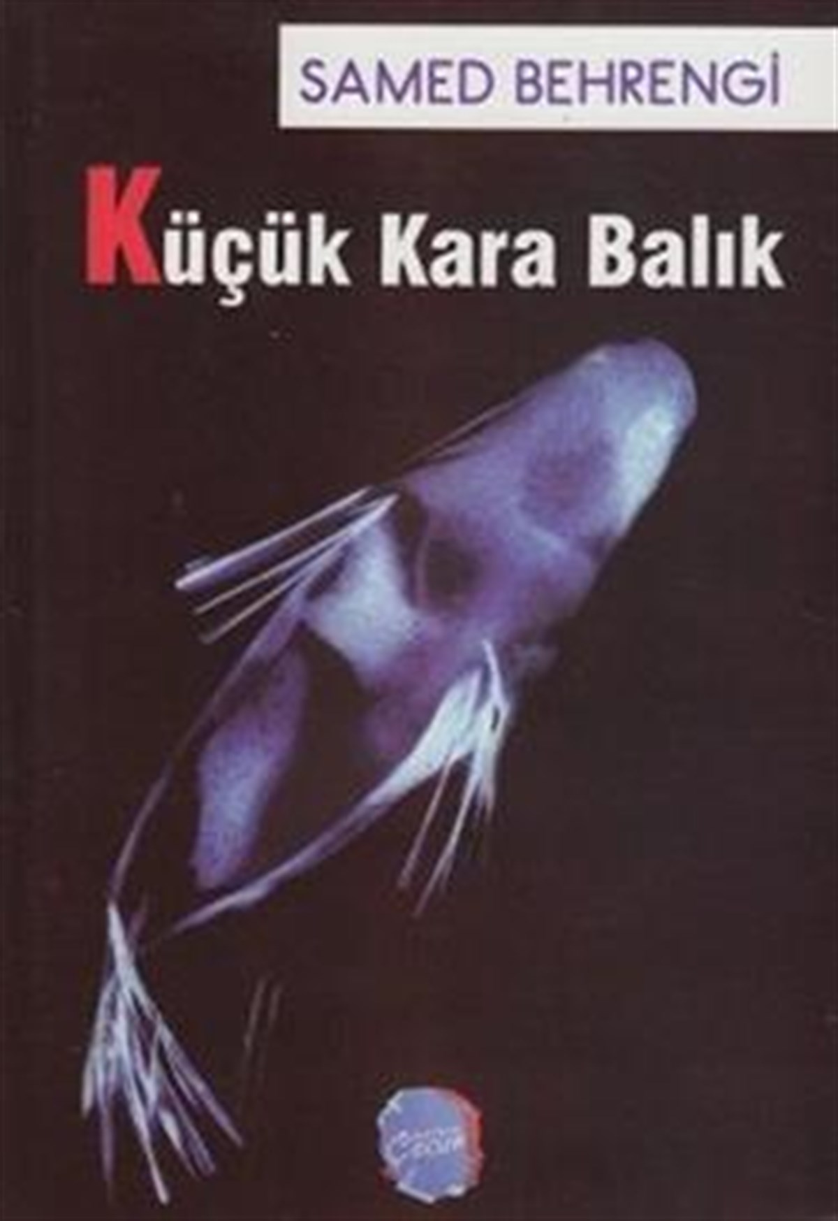 Küçük Kara Balık