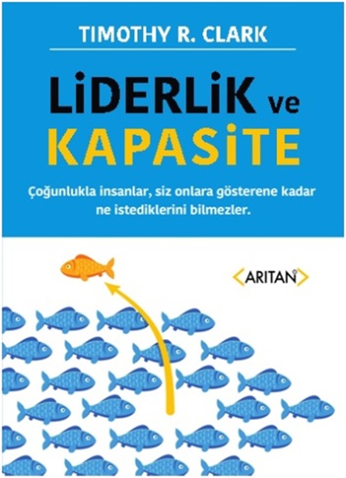 Liderlik ve Kapasite