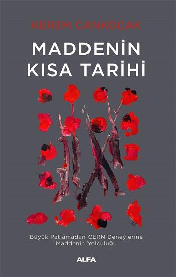 Maddenin  Kısa Tarihi