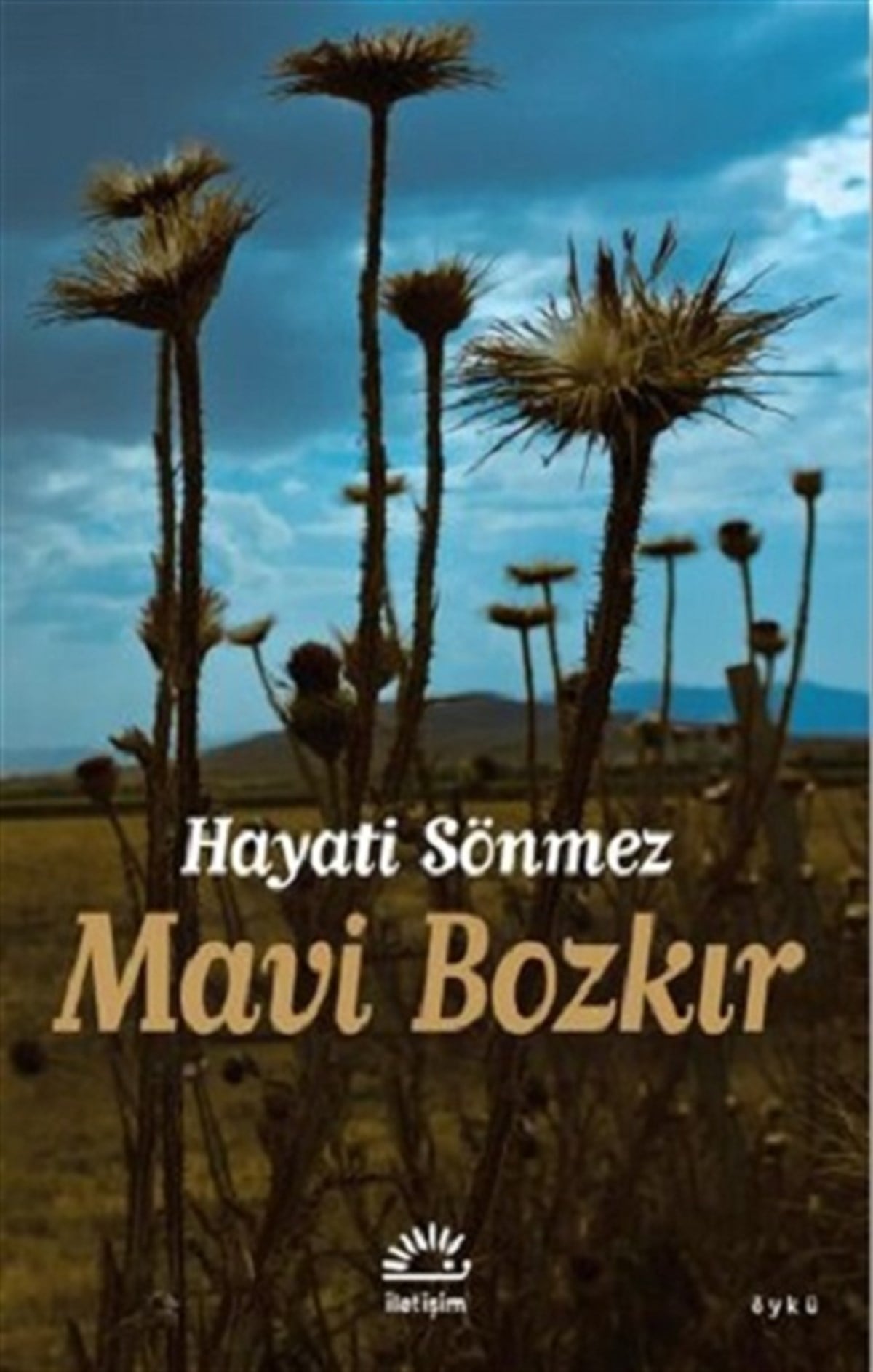 Mavi Bozkır