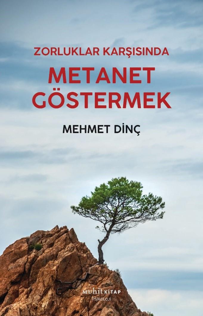 Metanet Göstermek