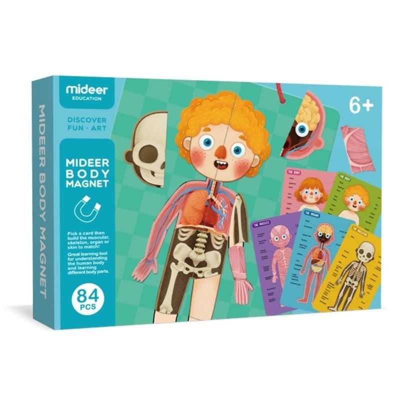 Mideer Body Magnet