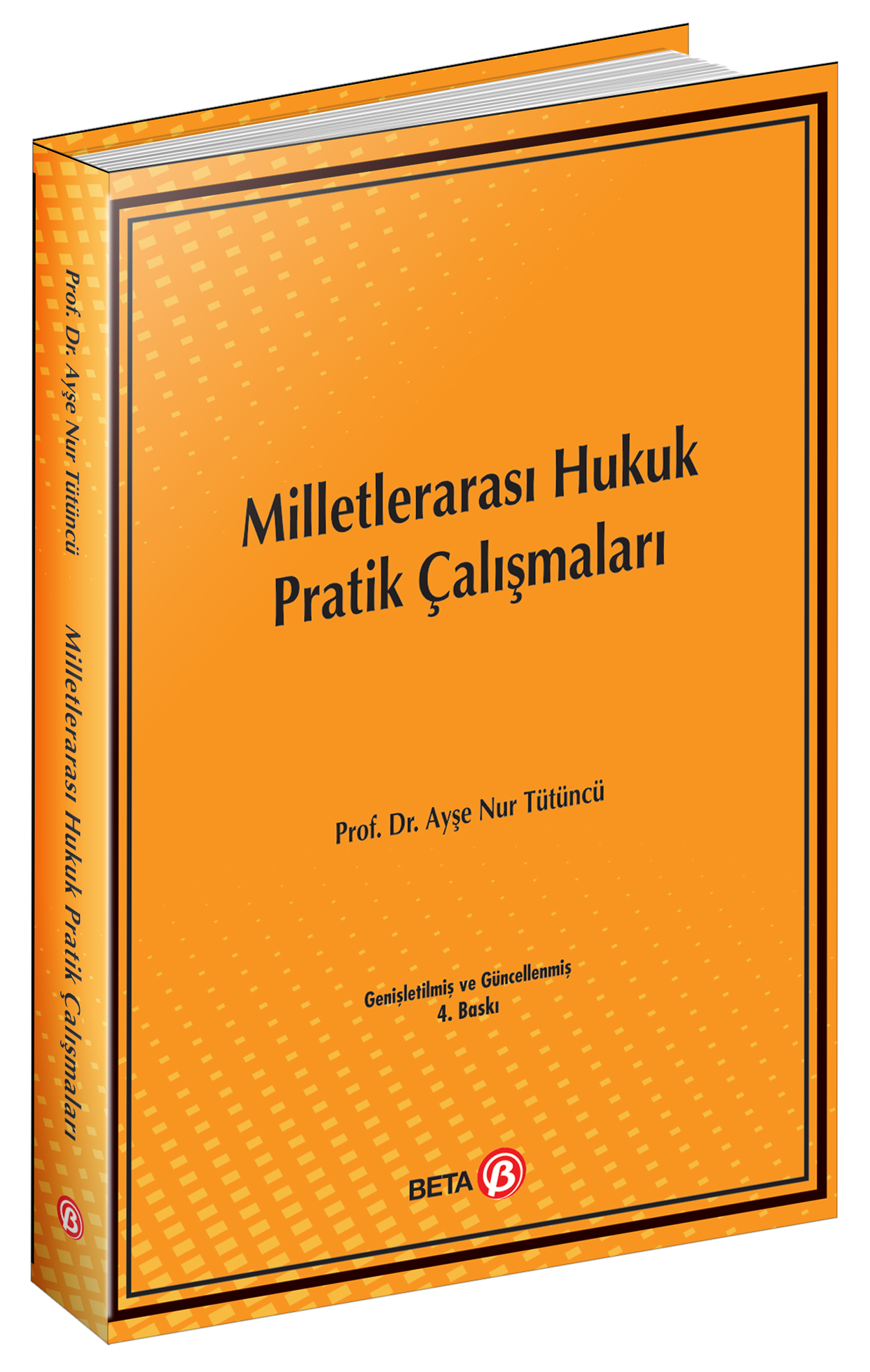 Milletlerarası Hukuk Pratik Çalışmaları