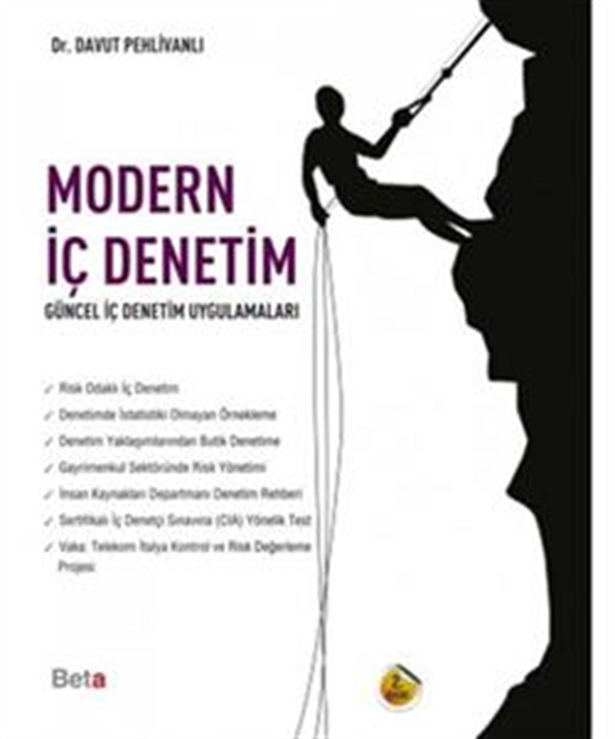 Modern İç Denetim
