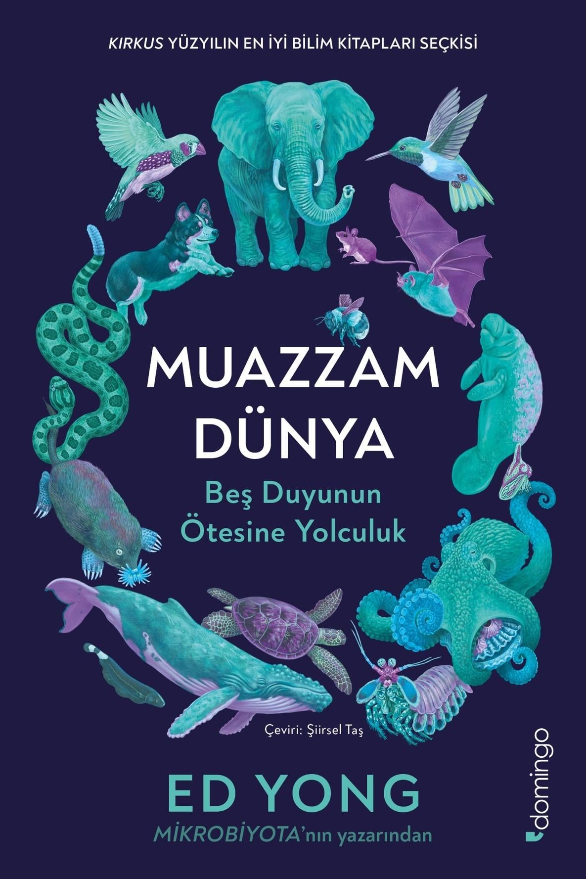 Muazzam Dünya
