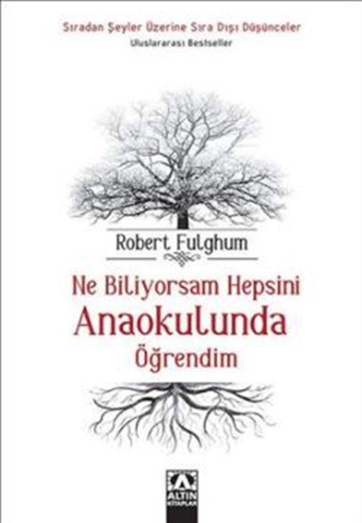 Ne Biliyorsam Hepsini Anaokulunda Öğrendim