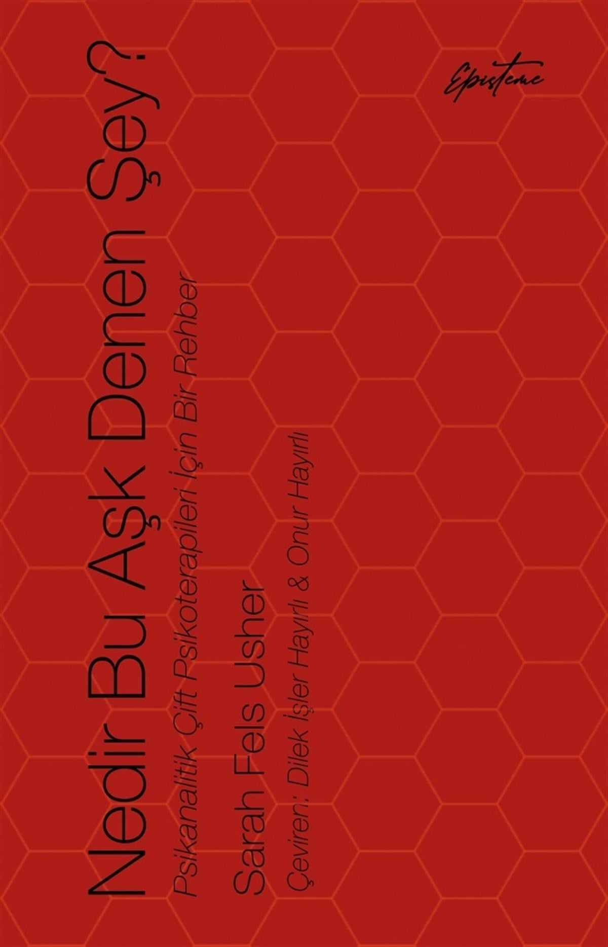 Nedir Bu Aşk Denen Şey?