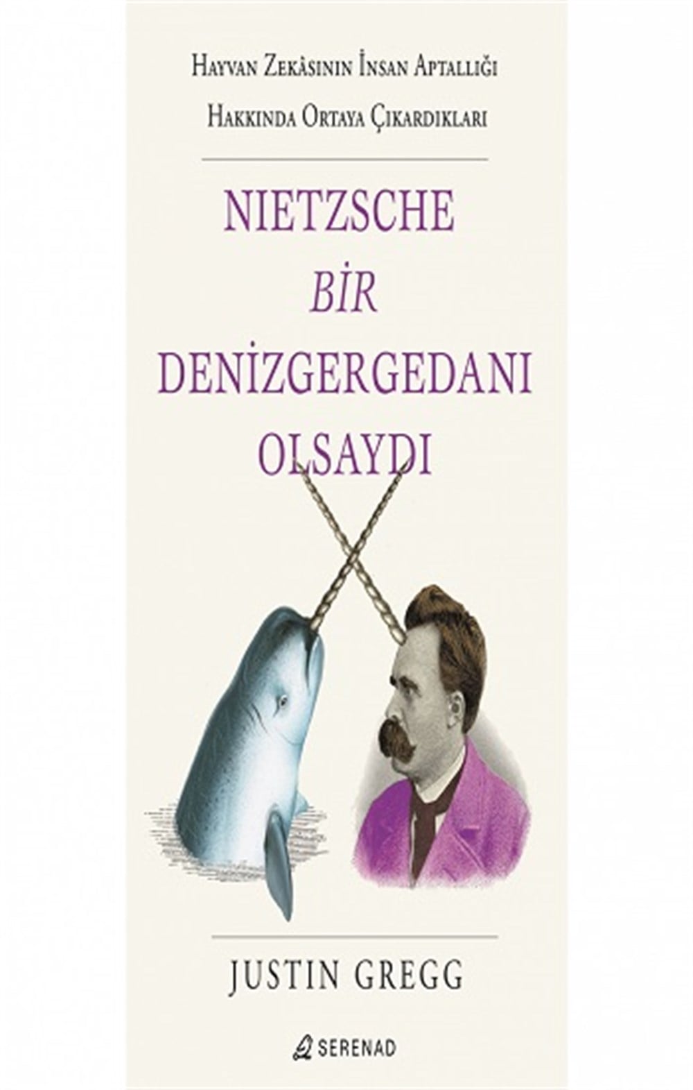 Nietzsche Bir Denizgergedanı Olsaydı