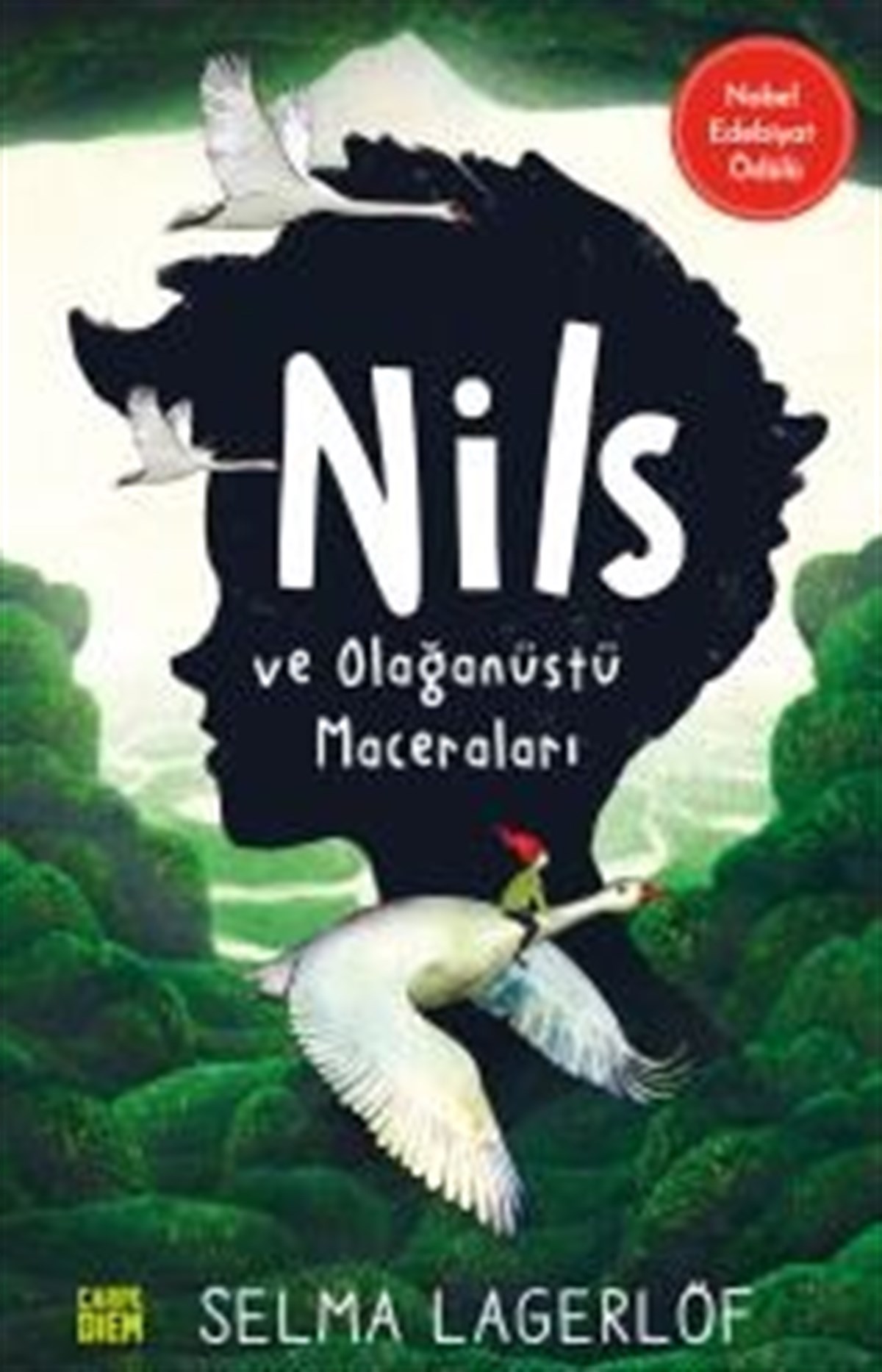 Nils Ve Olağanüstü Maceraları
