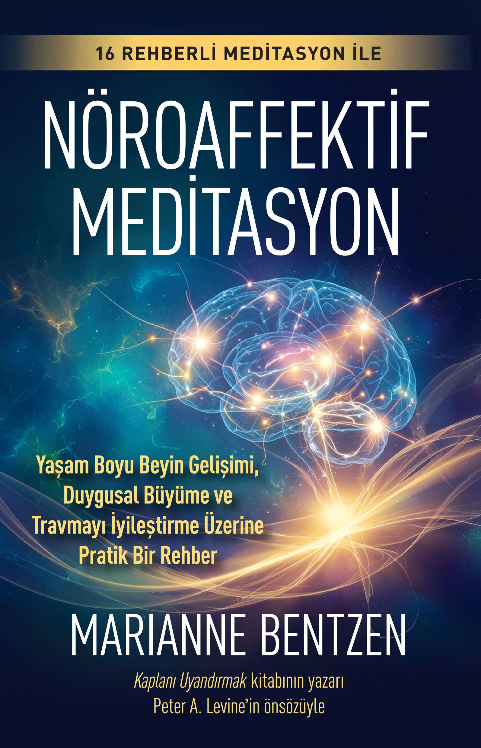 Nöroaffektif Meditasyon