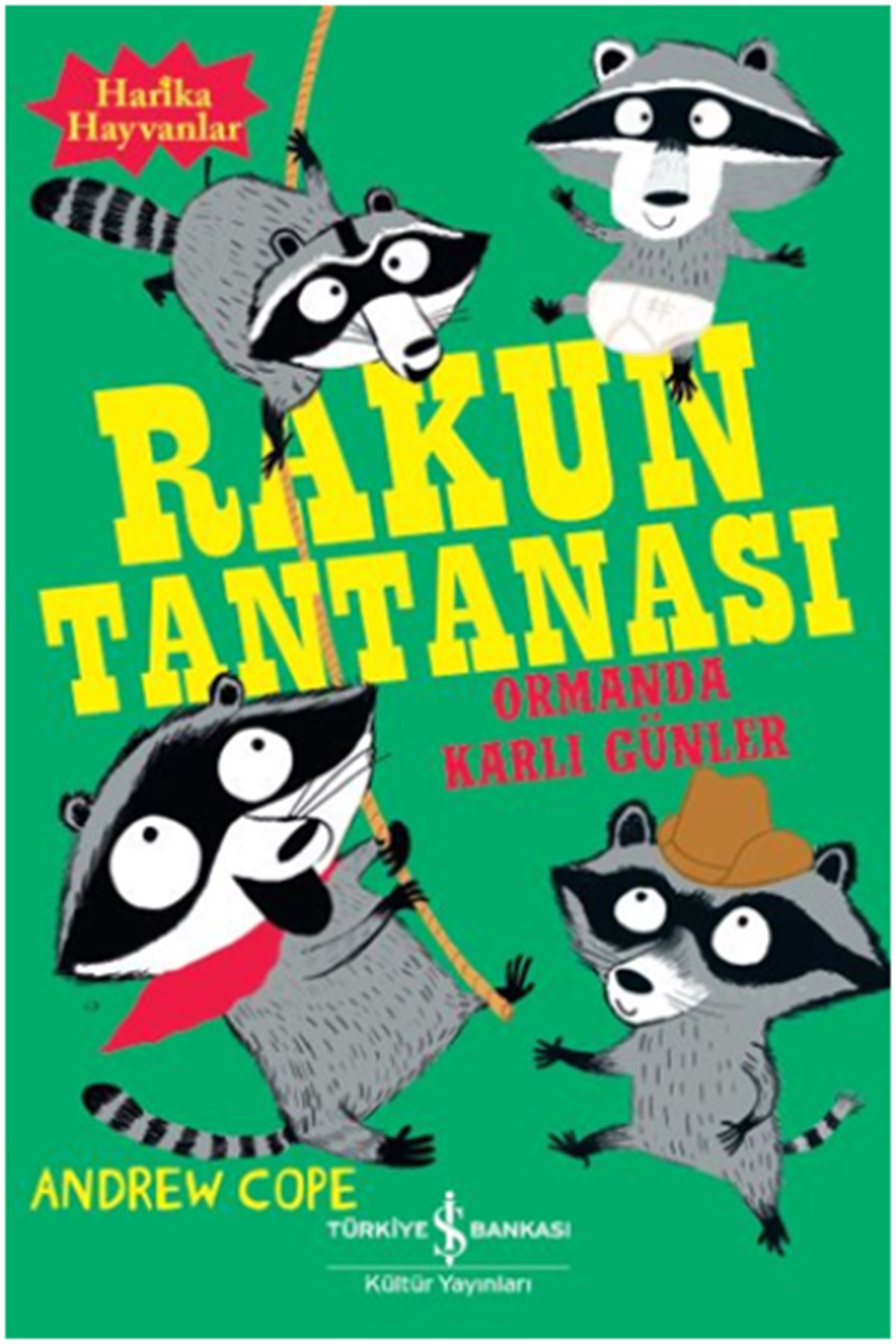 Ormanda Karlı Günler - Rakun Tantanası