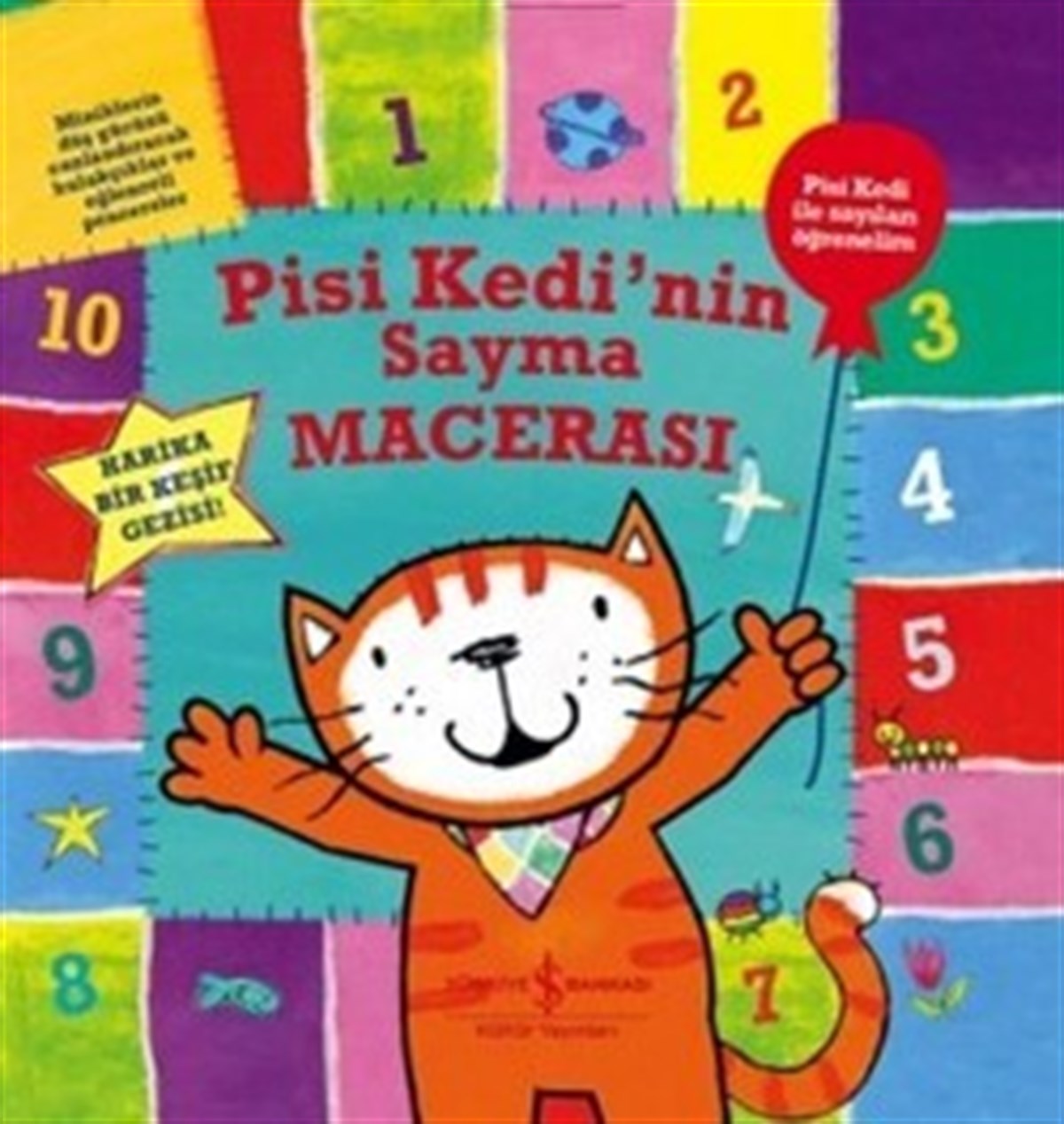 Pisi Kedi’nin Sayma Macerası