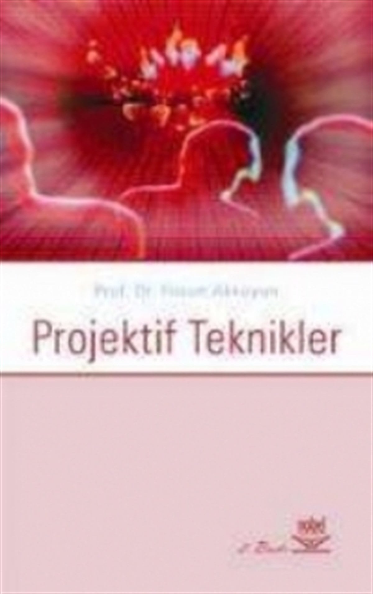 Projektif Teknikler