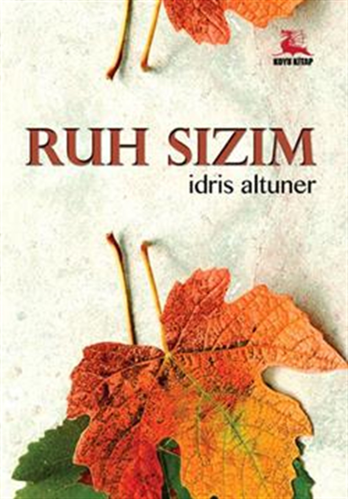 Ruh Sızım