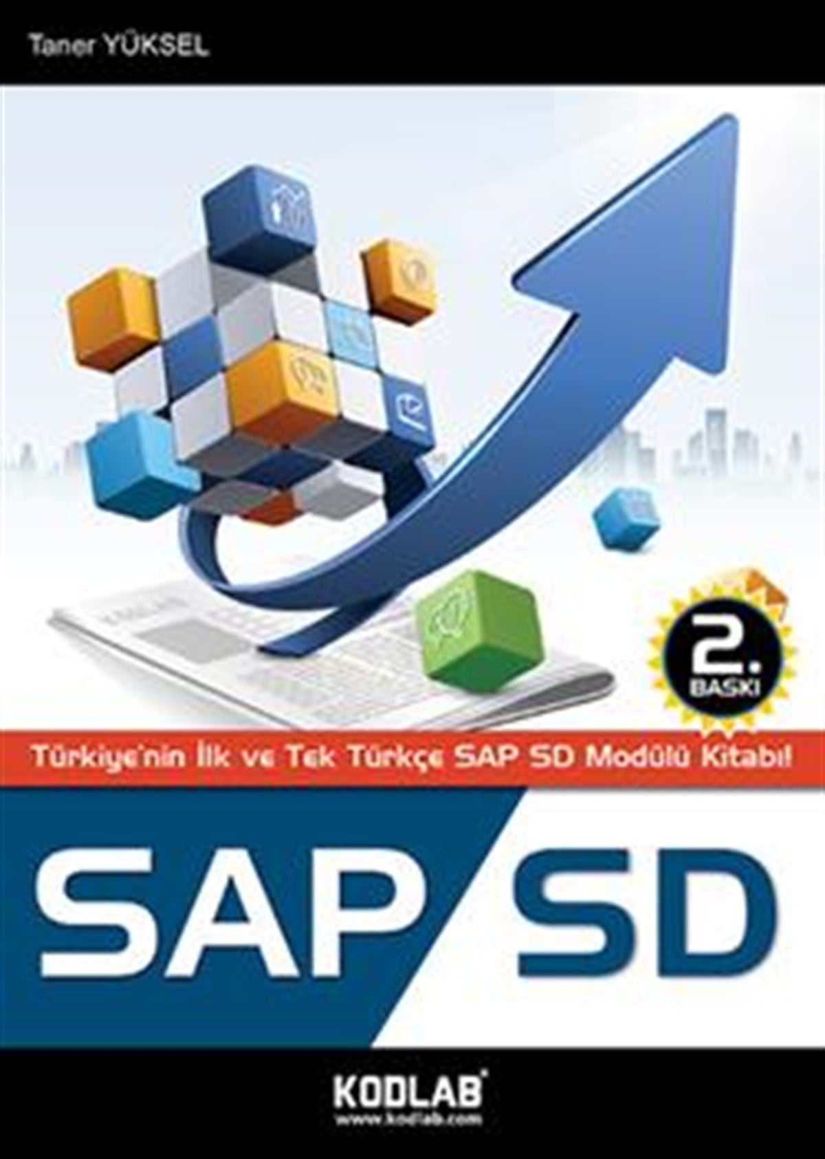 SAP SD modülüne giriş