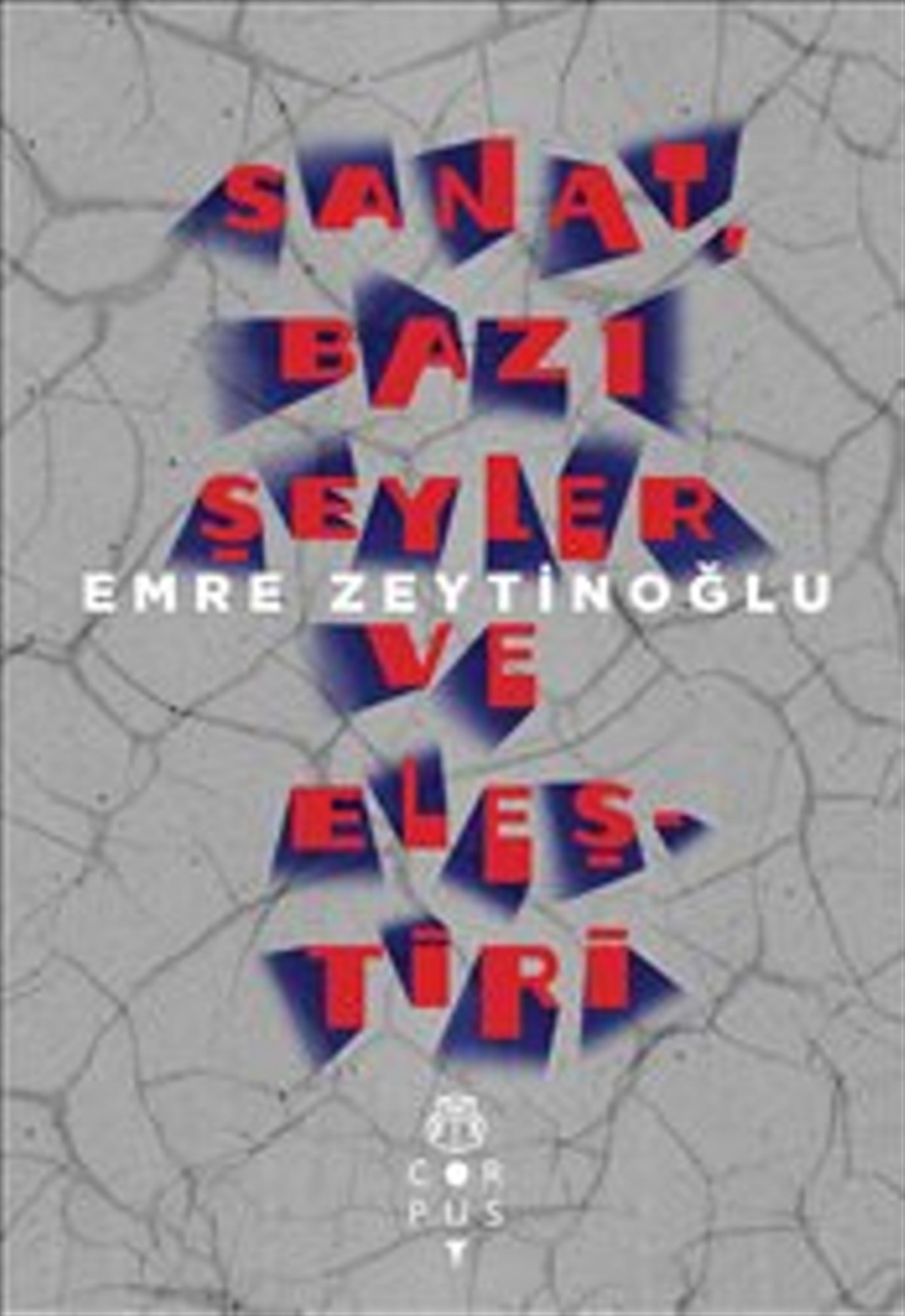 Sanat Bazı Şeyler ve Eleştiri