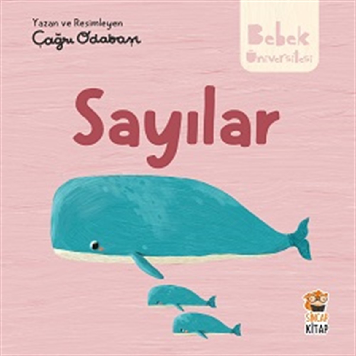 Sayılar -Hikayeli İlk Kavramlarım