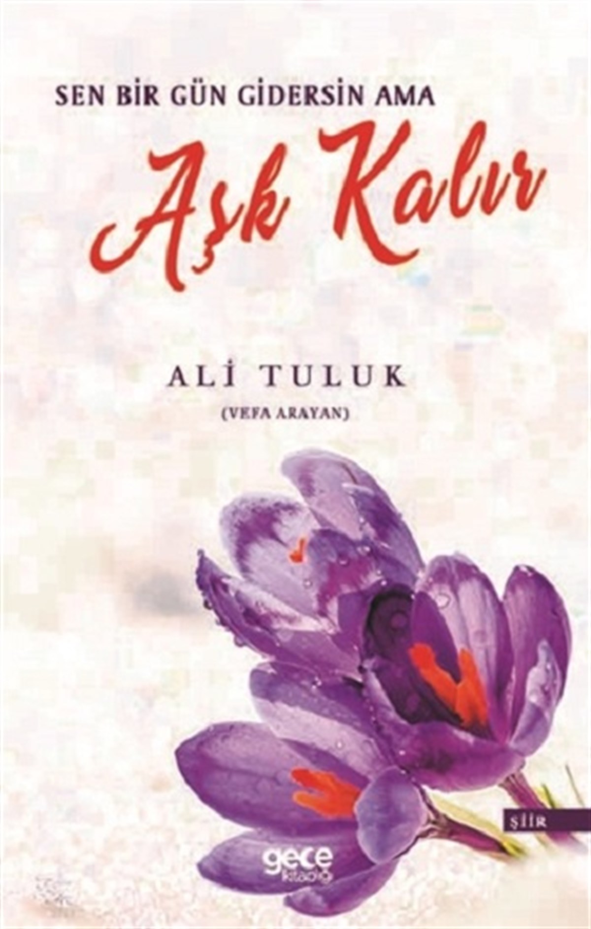 Sen Bir Gün Gidersin Ama Aşk Kalır