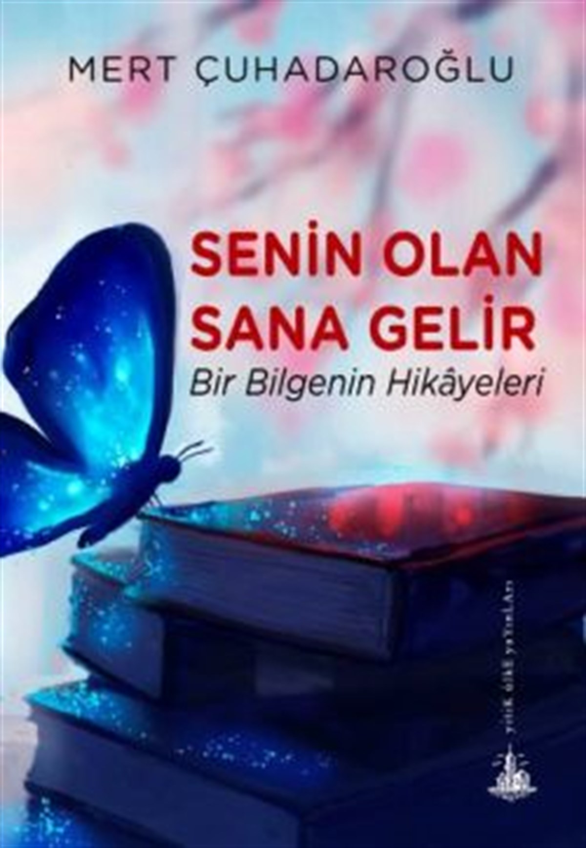 Senin Olan Sana Gelir - Bir Bilgenin Hikayeleri