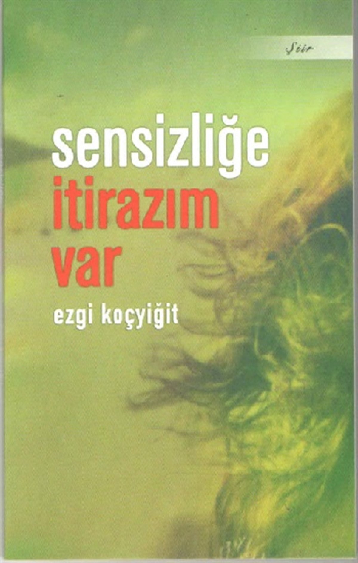Sensizliğe İtirazım Var