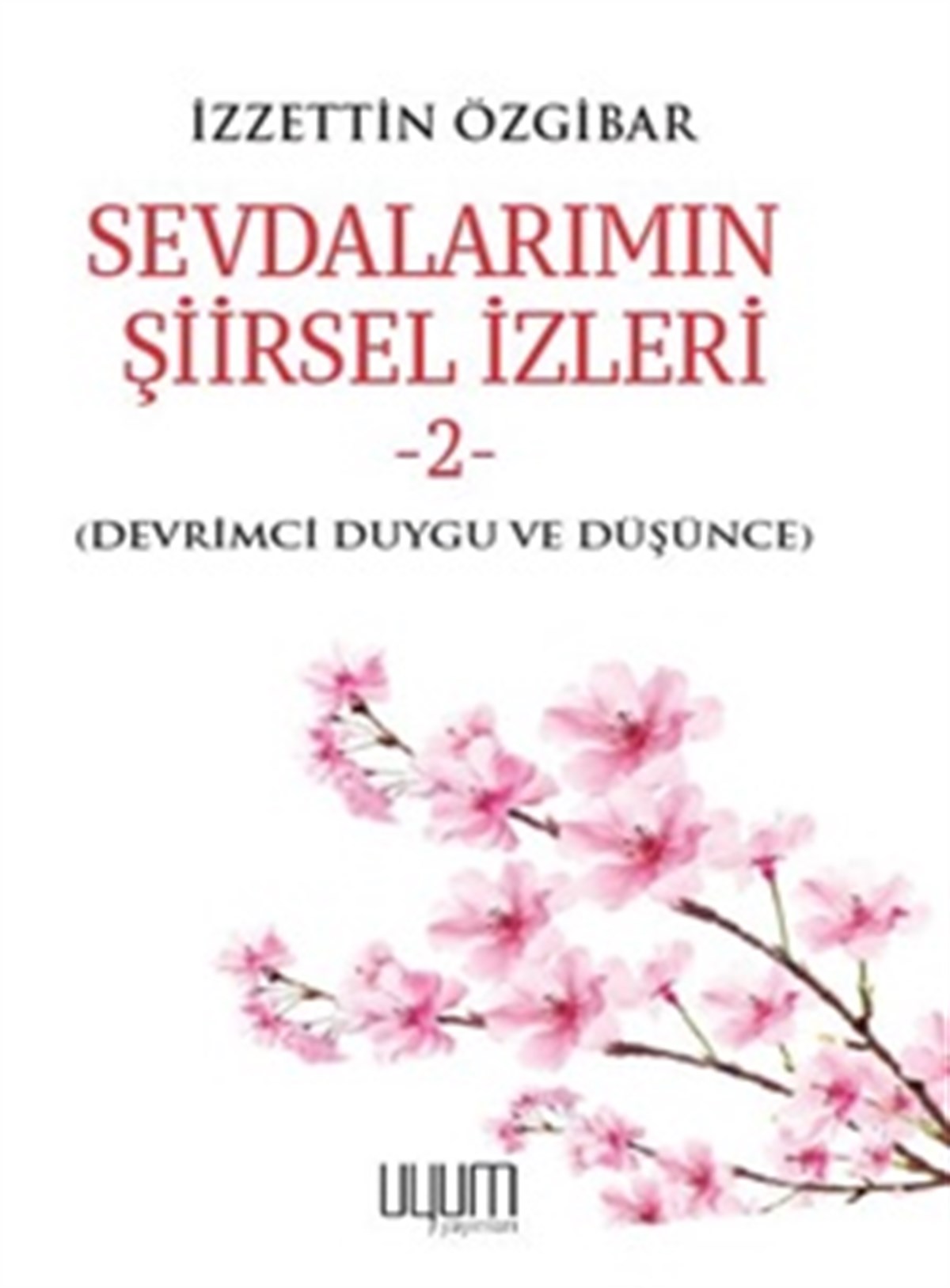 Sevdalarımın Şiirsel İzleri-2