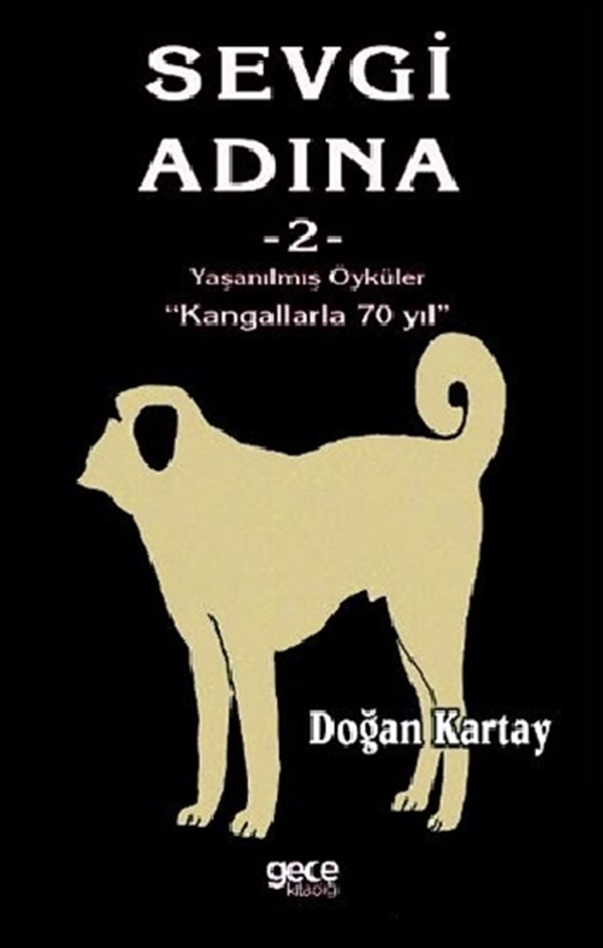 Sevgi Adına Öyküler - 2