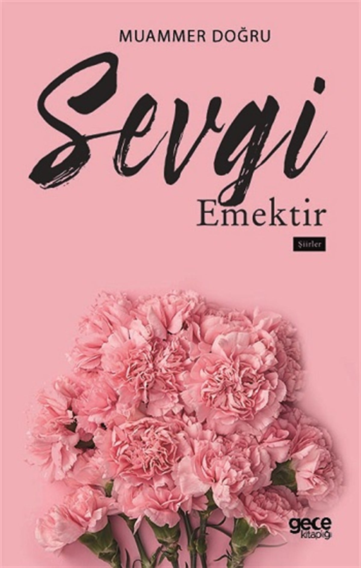 Sevgi Emektir
