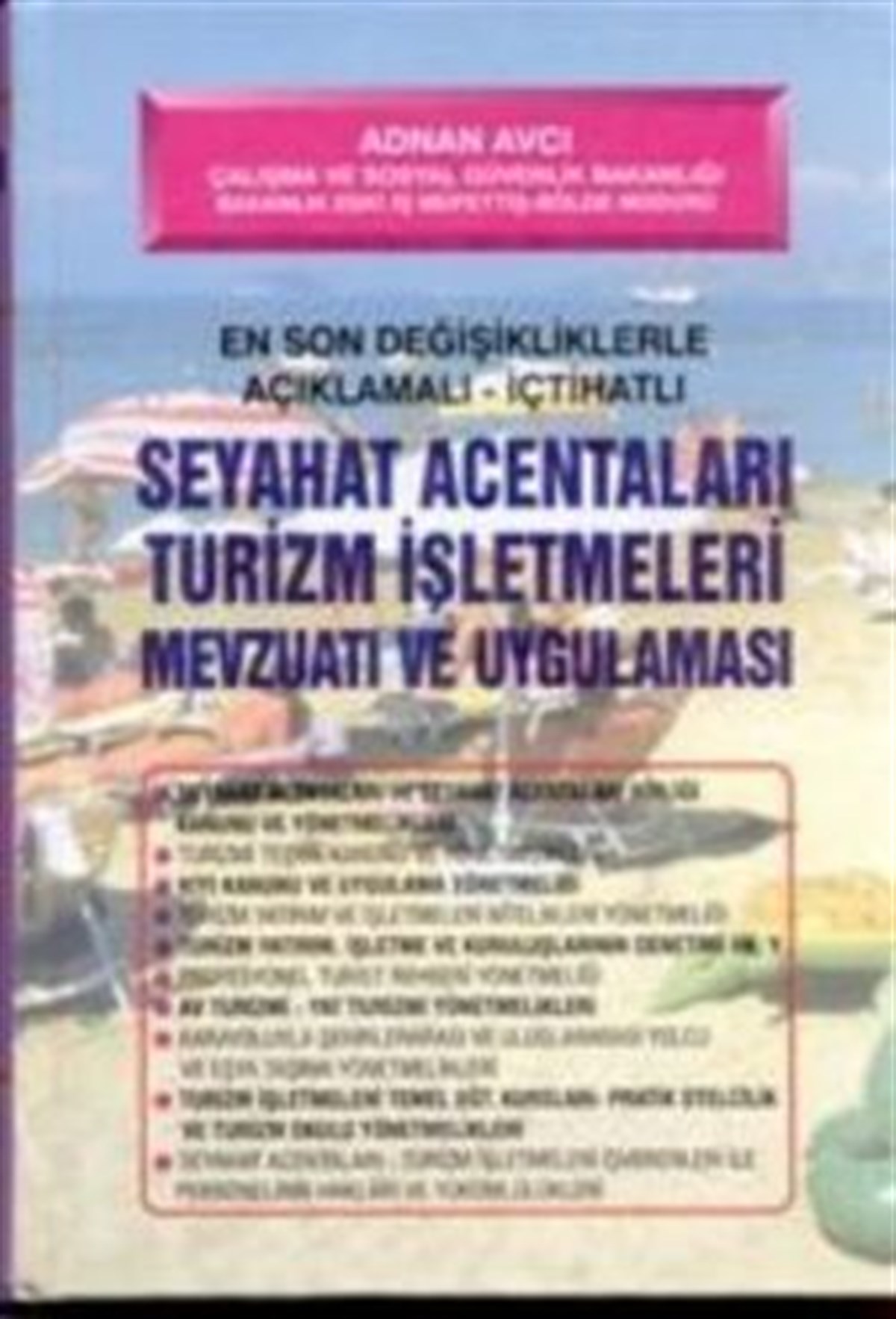 Seyahat Acentaları ve Tur Operatörlerinde Muhasebe Organizasyonu