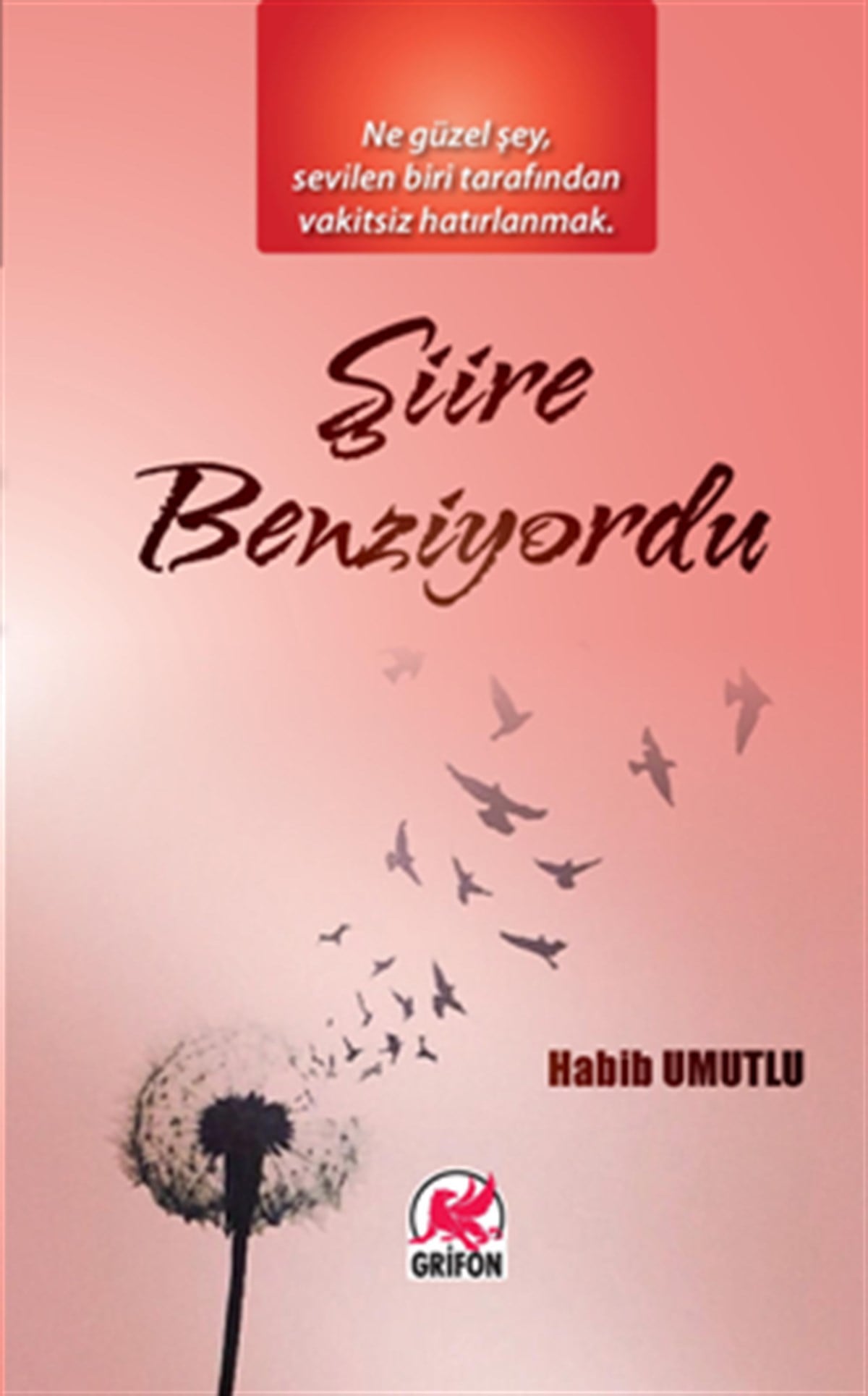 Şiire Benziyordu