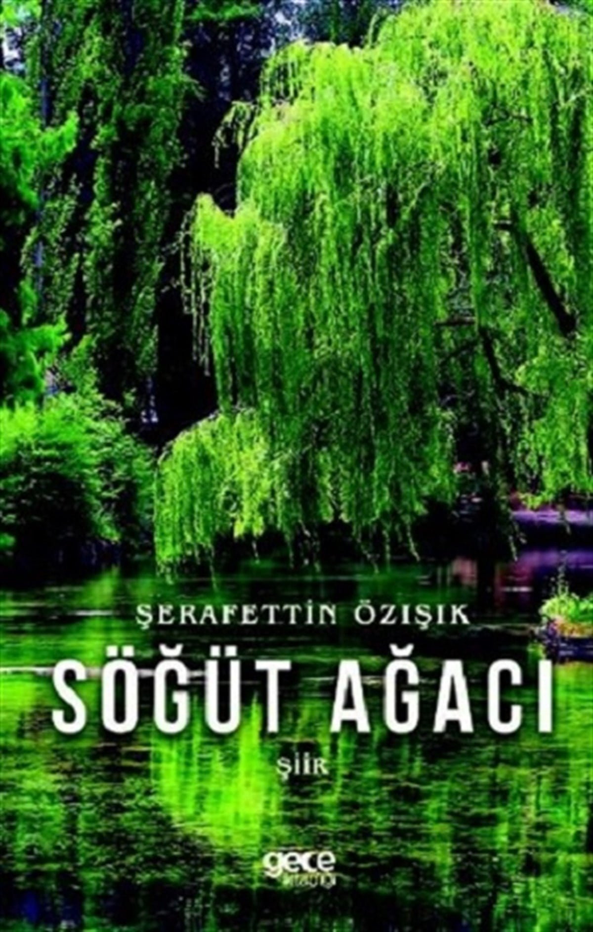 Söğüt Ağacı