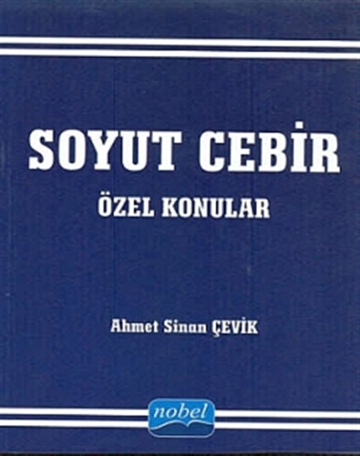 Soyut Cebir Özel konular