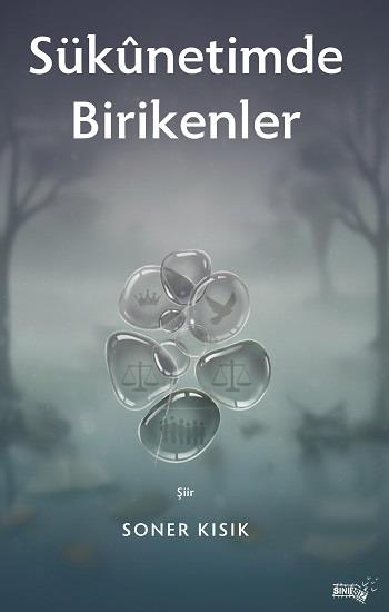 Sukunetimde Birikenler