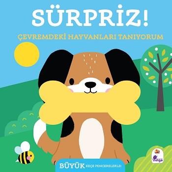 Sürpriz! – Çevremdeki Hayvanları Tanıyorum (Ciltli)