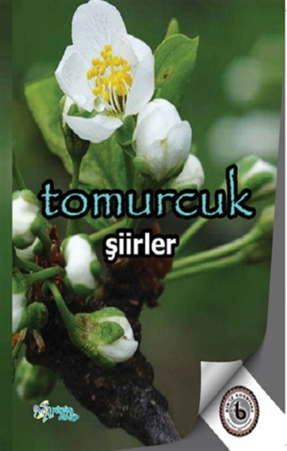 Tomurcuk